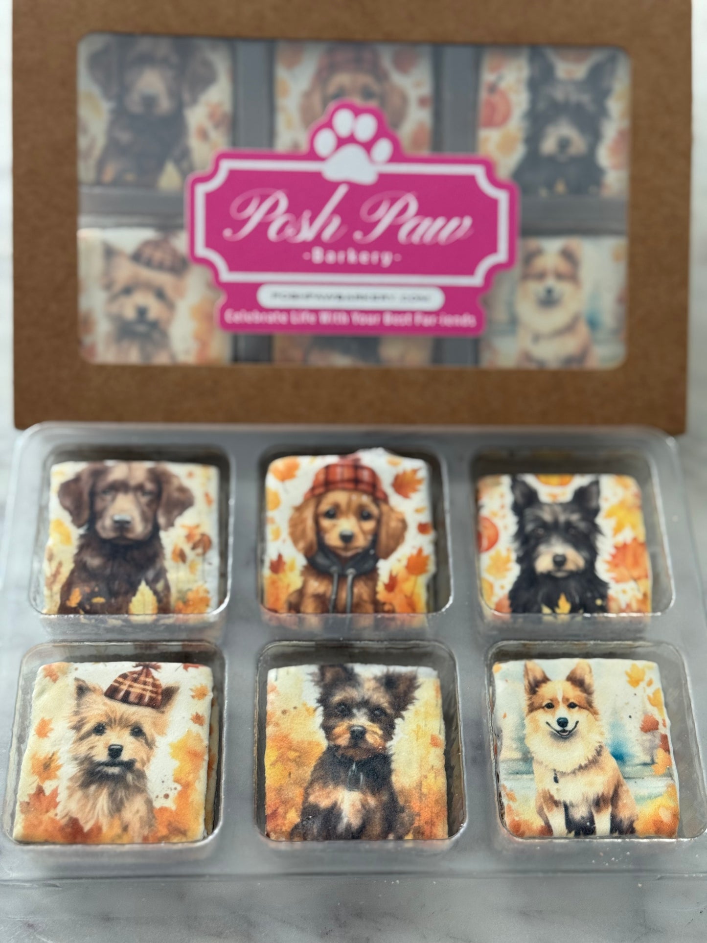 Autumn Dogs Treat Box
