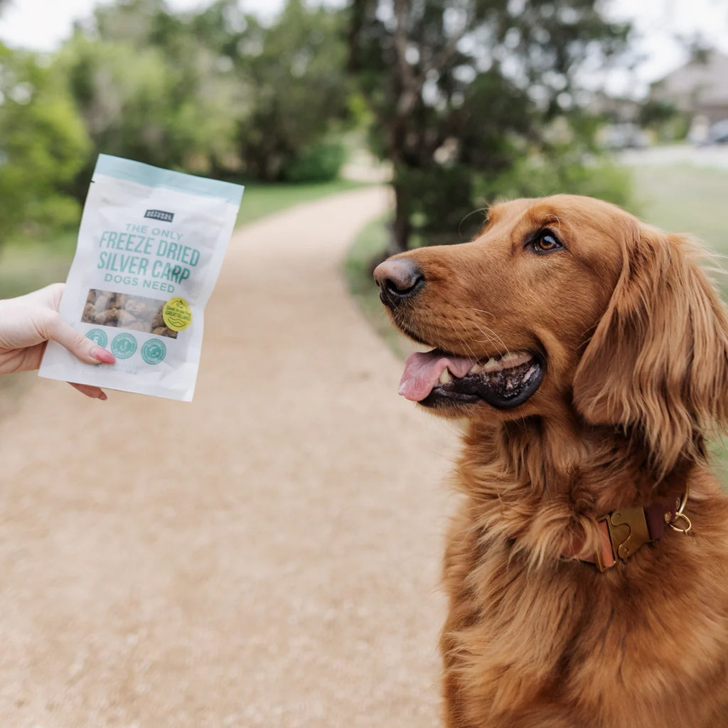 Freeze Dried Silver Carp