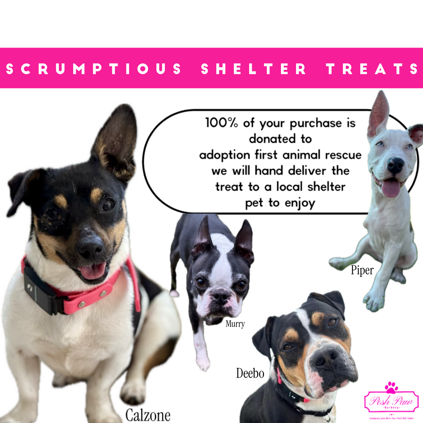 Scrumptious Shelter Snacks