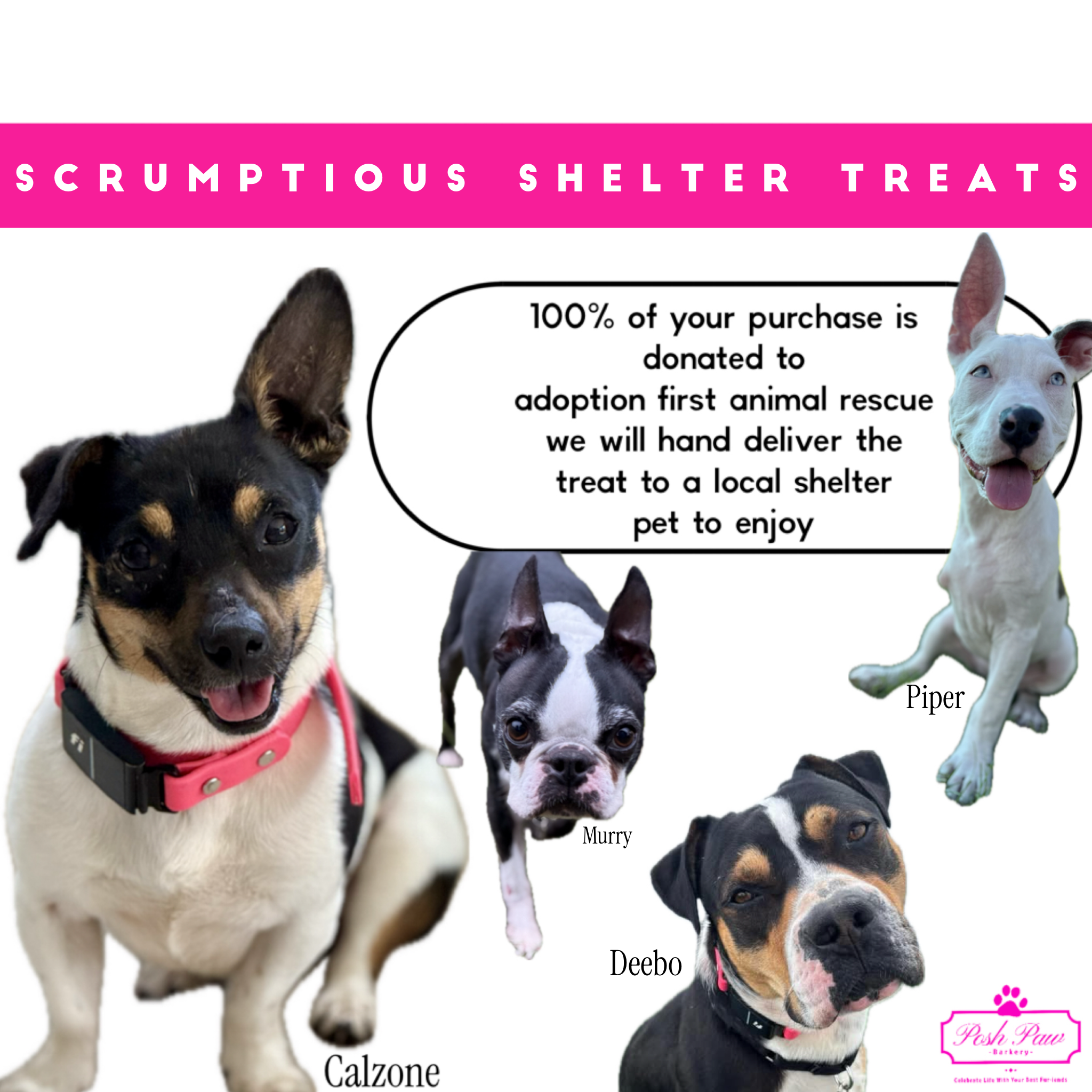 Scrumptious Shelter Snacks