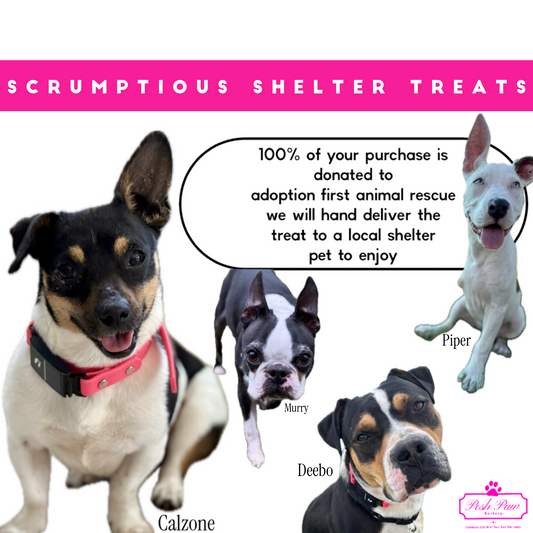 Scrumptious Shelter Snacks