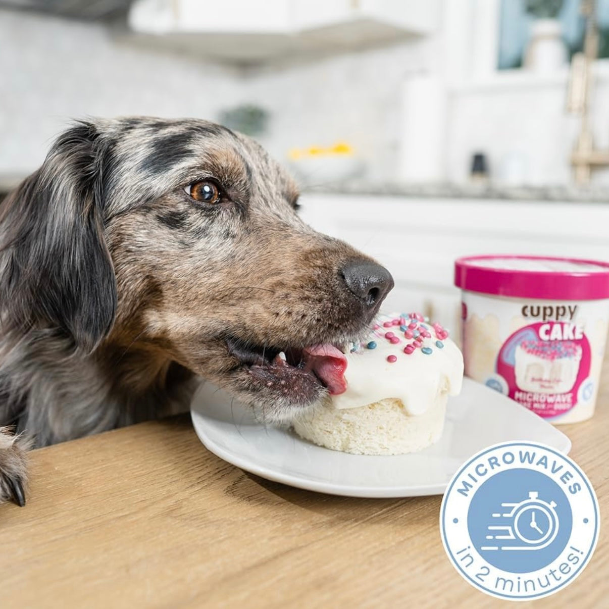Cuppy Cake - Microwave Dog Birthday Cake in A Cup w/Pupfetti Sprinkles