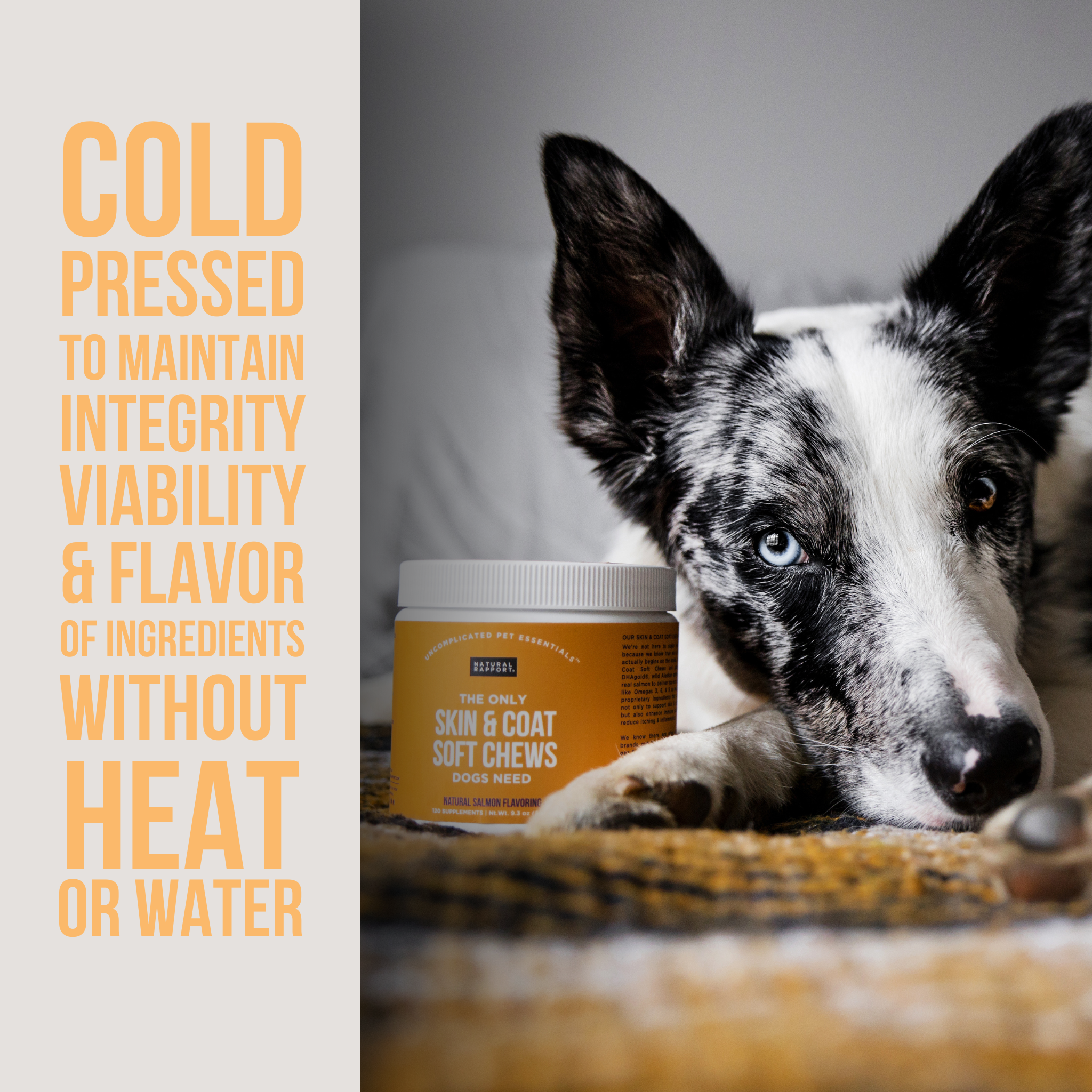 Skin & Coat Soft Chews for Dogs