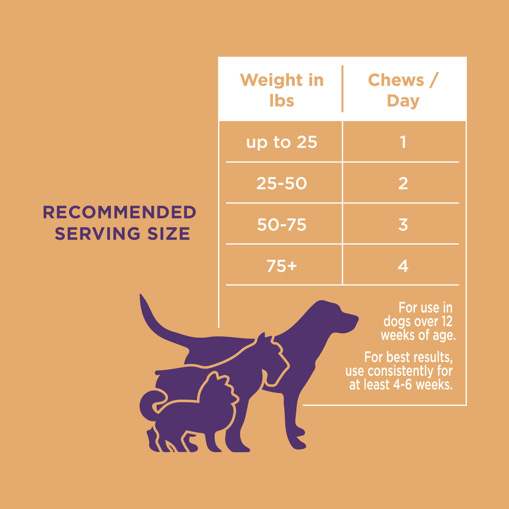Skin & Coat Soft Chews for Dogs