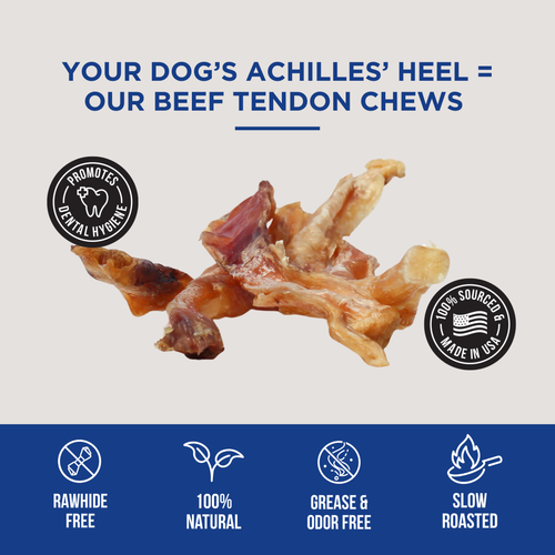 Beef Tendon Chews