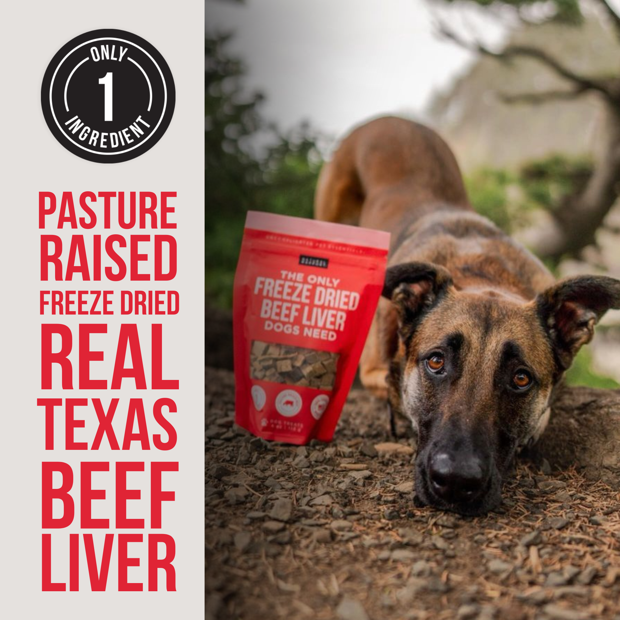 Freeze Dried Beef Liver