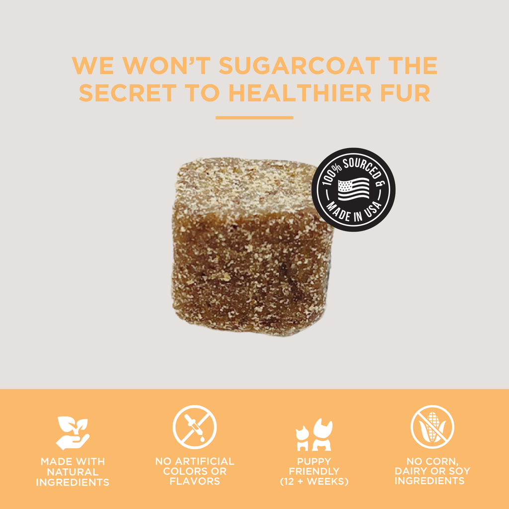 Skin & Coat Soft Chews for Dogs