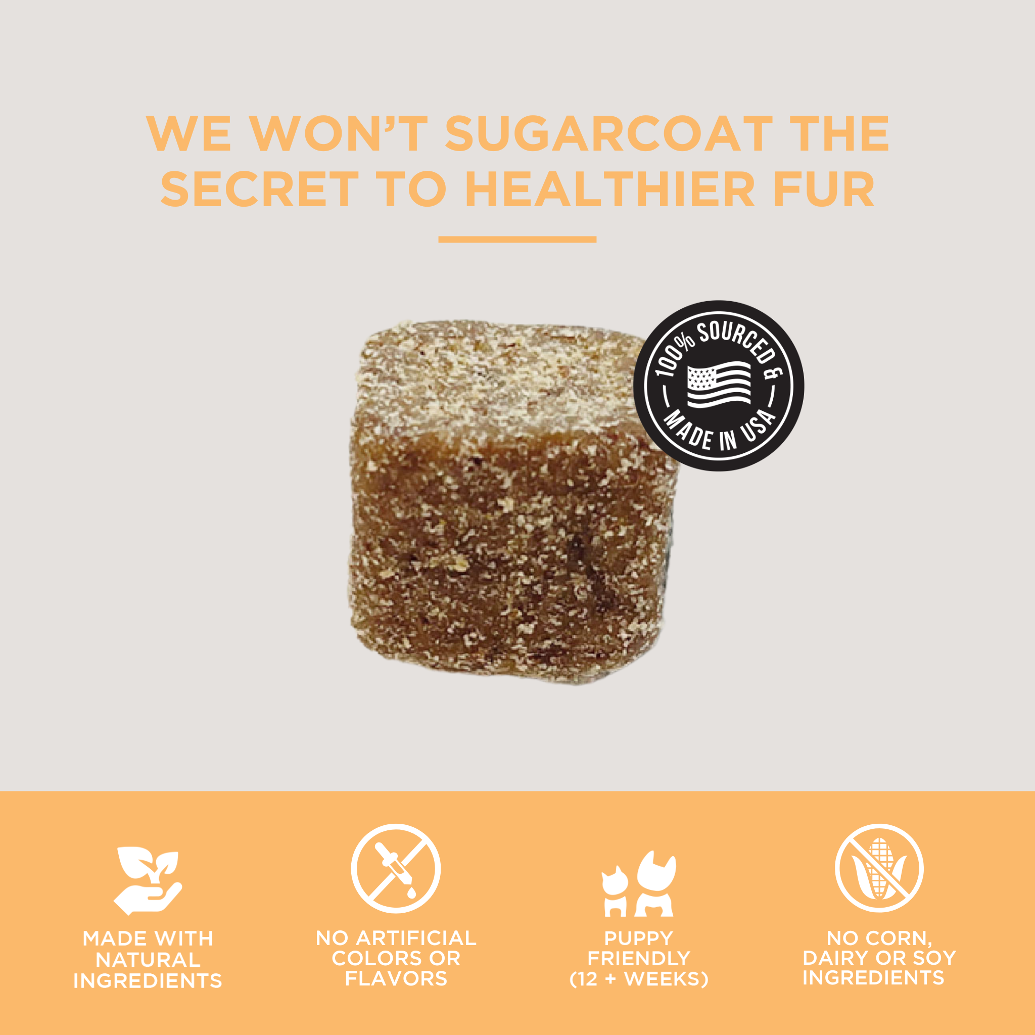 Skin & Coat Soft Chews for Dogs