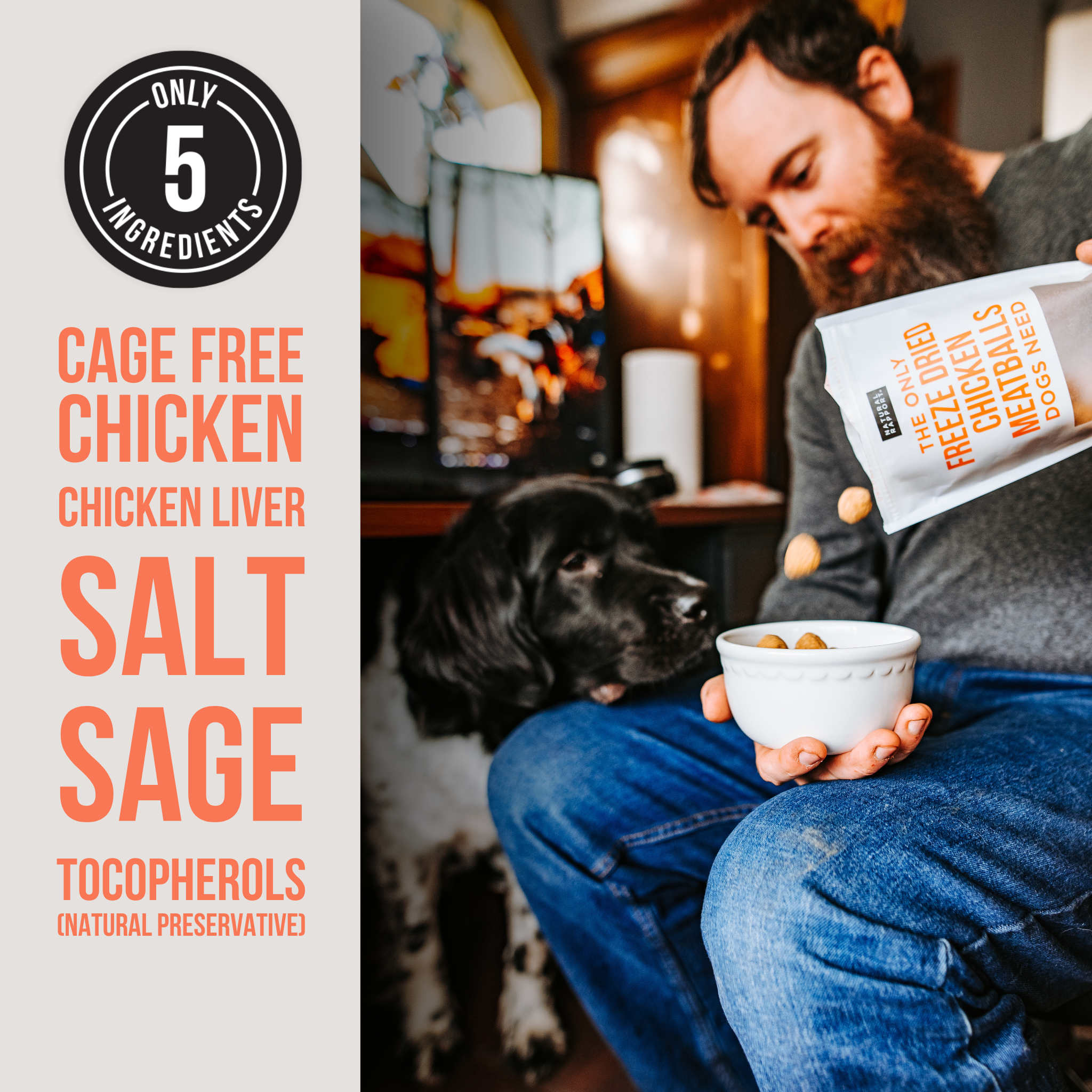 Freeze Dried Chicken Meatballs