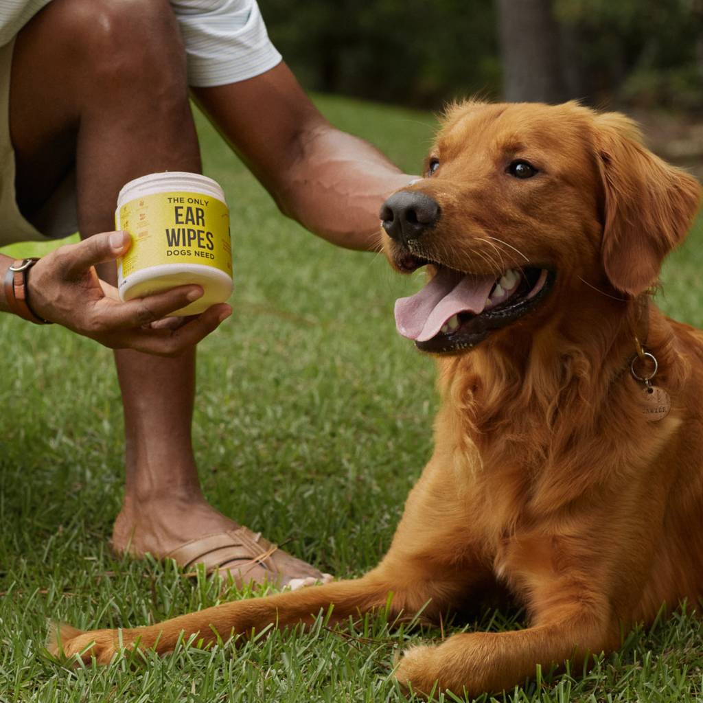 Ear Wipes for Dogs